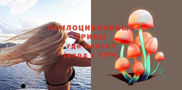 стафф Карталы