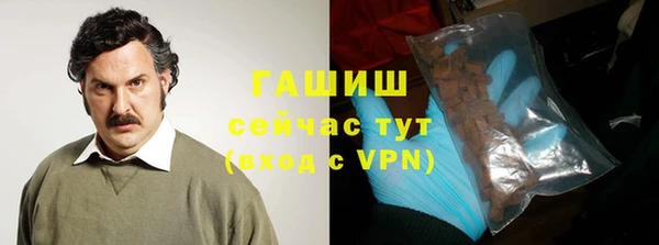 индика Касимов