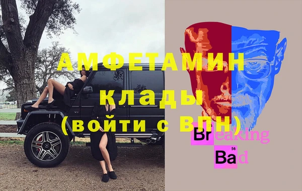 индика Касимов