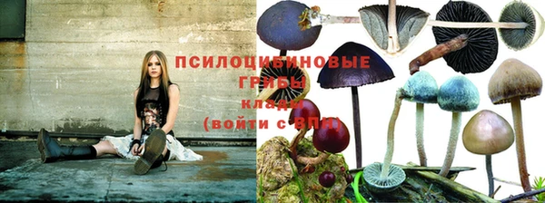 MDMA Карпинск
