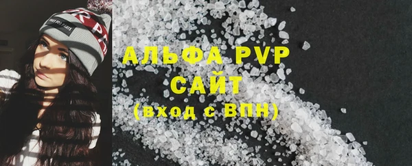 индика Касимов