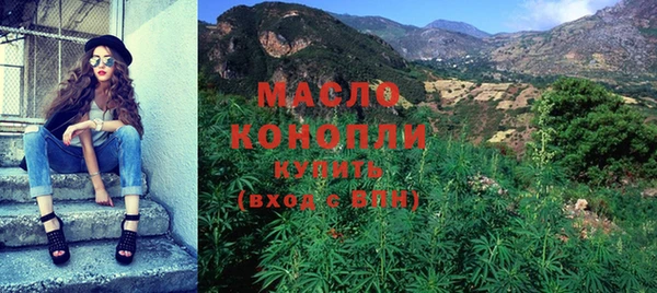 индика Касимов