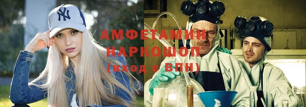 индика Касимов
