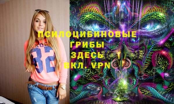 индика Касимов