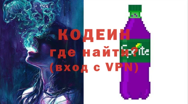 индика Касимов